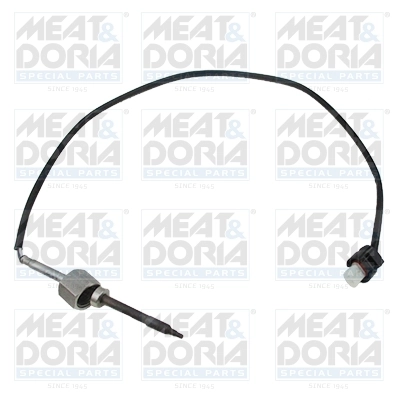 Sensor, exhaust gas temperature